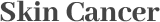 Service Text